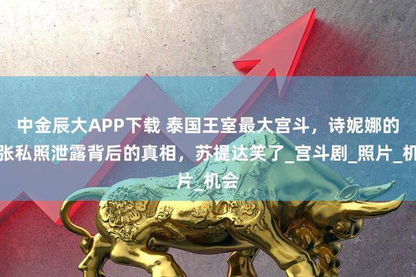 中金辰大APP下载 泰国王室最大宫斗，诗妮娜的千张私照泄露背后的真相，苏提达笑了_宫斗剧_照片_机会