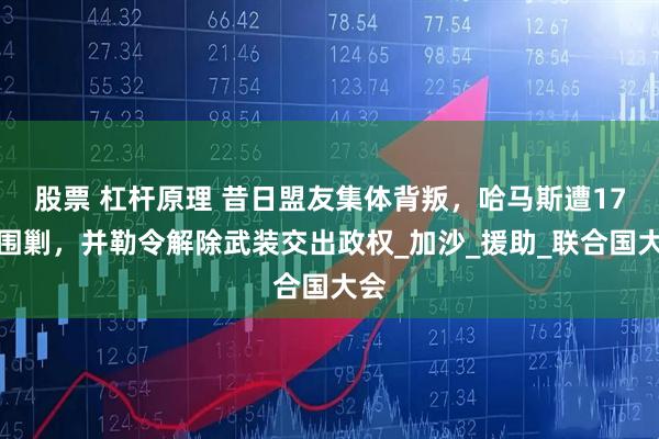 股票 杠杆原理 昔日盟友集体背叛，哈马斯遭17国围剿，并勒令解除武装交出政权_加沙_援助_联合国大会