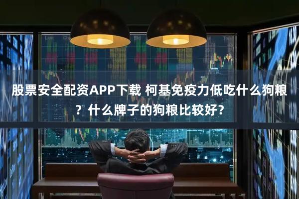 股票安全配资APP下载 柯基免疫力低吃什么狗粮？什么牌子的狗粮比较好？